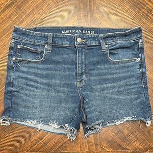 American Eagle Outfitters Blue Distressed Jean Shorts